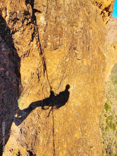 climber shade