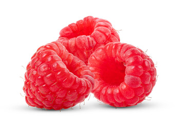 Solitary raspberry isolated on transparent png