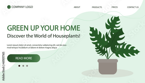 Home plant in pot, cute flat cartoon illustration. Web page banner