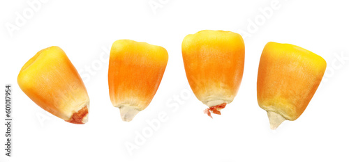Set macro kernel corn isolated on white, clipping path