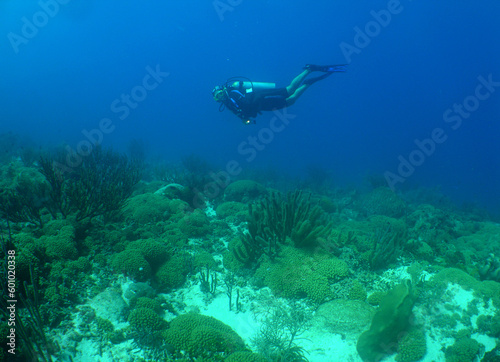 a diver exploring a reef on the island of Aruba