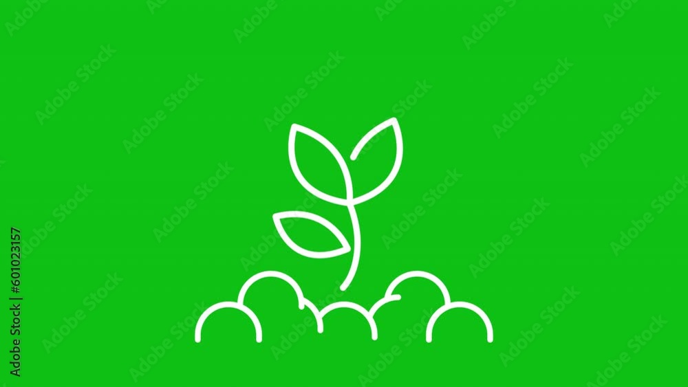 Seeding white line animation. Animated hand spreading seeds into soil. Seeds germination. Loop HD video with chroma key, alpha channel, transparent background. Outline motion graphic animation Seeding white line animation. Animated hand spreading seeds into soil. Seeds germination. Loop HD video with chroma key, alpha channel, transparent background. Outline motion graphic animation