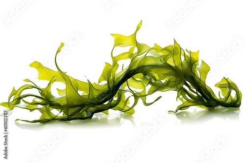 Kelp seaweed or kelp seedling, highlighted on a white background. Generative AI illustration photo
