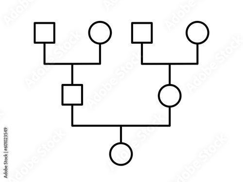 Genogram. Family tree chart. Simple diagram showing family members. Genealogy tree structure. Can be used for ancestry heritage research, medical history, systematic constellation. Vector illustration photo