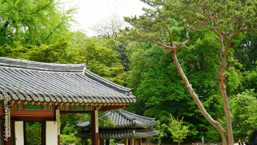 A pavilion sponsored by Changdeokgung Palace, a cultural property of Korea © 정의 박