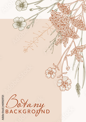 Hand drawn summer wildflowers design. Vector illustration in sketch style. Meadow flowers aesthetic background