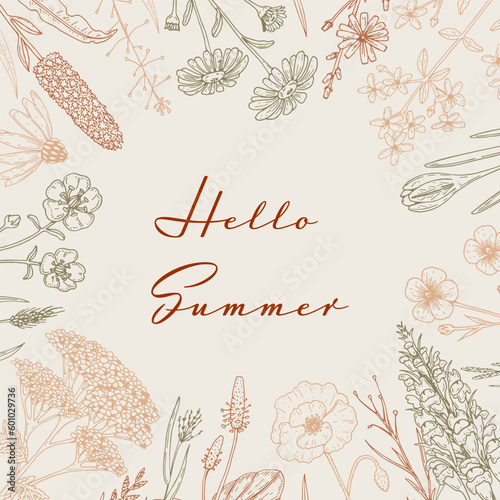 Hand drawn summer wildflowers frame. Vector illustration in sketch style. Meadow flowers aesthetic background. Summer design