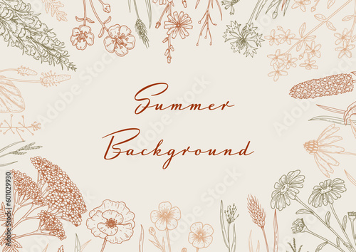 Hand drawn summer horizontal wildflowers design. Vector illustration in sketch style. Meadow flowers aesthetic background