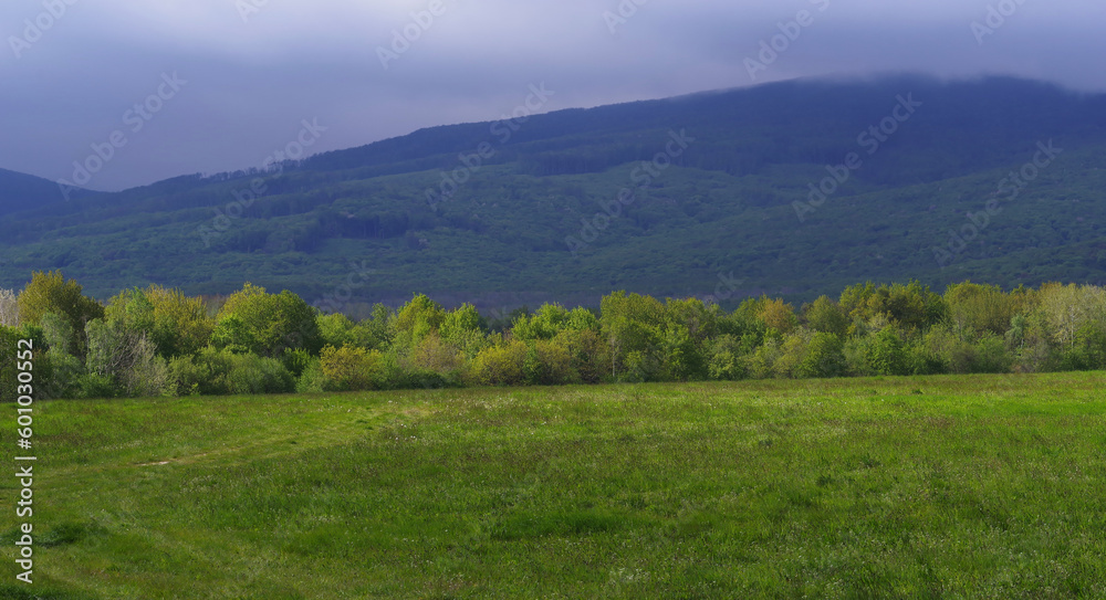 Krajobraz pięknych, zielonych gór wiosną. Świeża zieleń i niskie chmury nad górami Vihorlat w Wschodniej Słowacji. - obrazy, fototapety, plakaty 