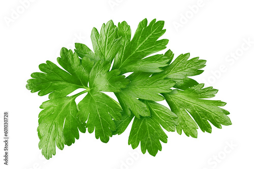 Fototapeta Naklejka Na Ścianę i Meble -  Parsley isolated on white background, full depth of field
