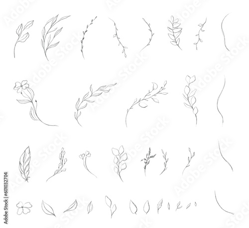 simple leaf vector branch floral botanical wedding element decoration