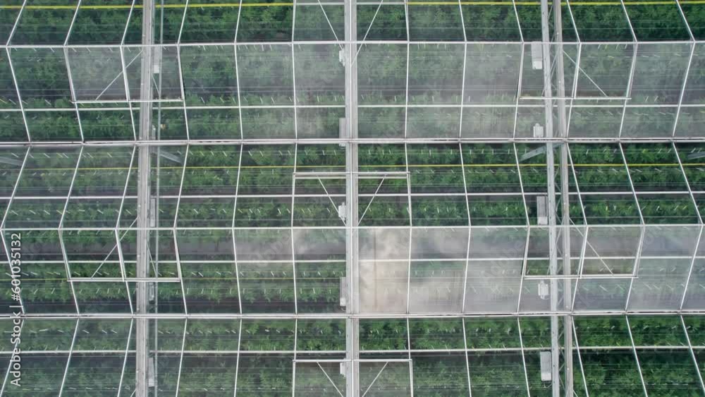 High above industrial greenhouse, glimpse into huge tomato production facility High above industrial greenhouse, glimpse into huge tomato production facility