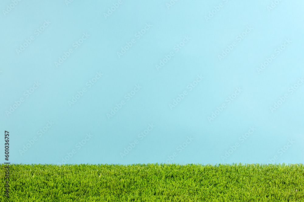 Studio grass and blue background for mockup