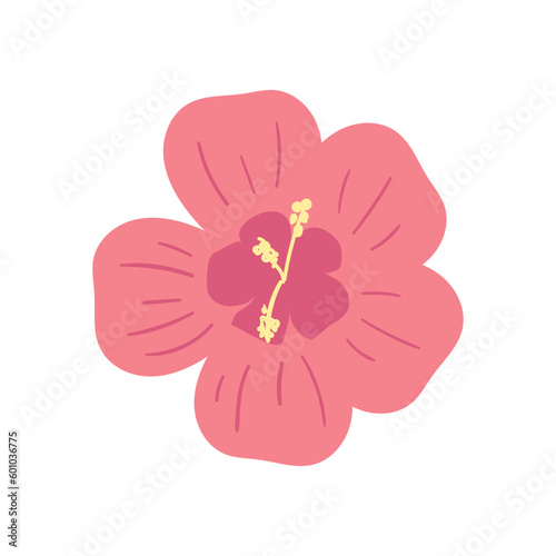 Tropical Flower Summer Tropical Beach Element