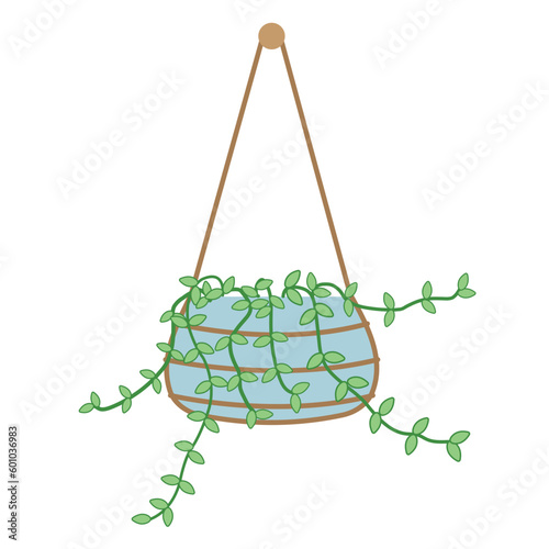 Trailing Jade Hanging Planter Pots
