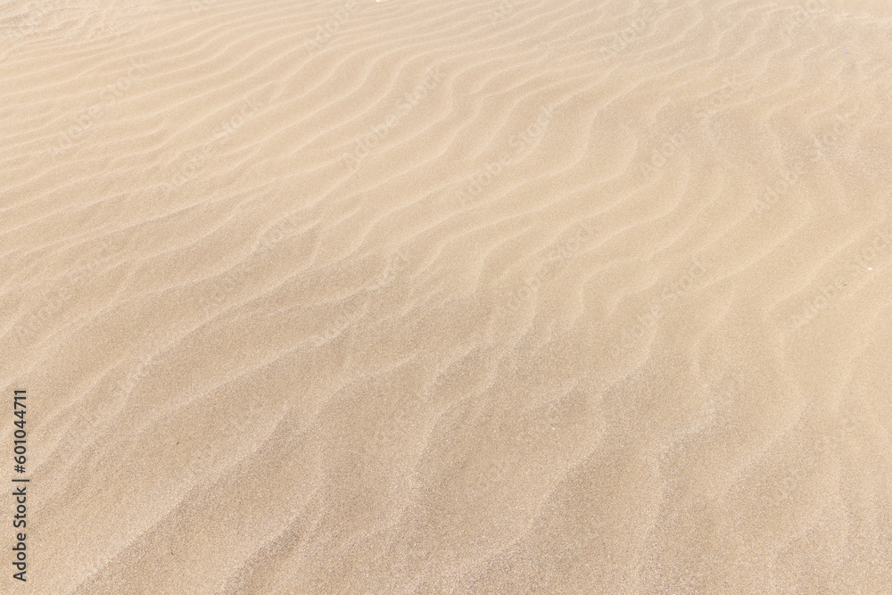 Sandy beach pattern texture background Sandy beach pattern texture background