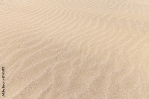 Sandy beach pattern texture background