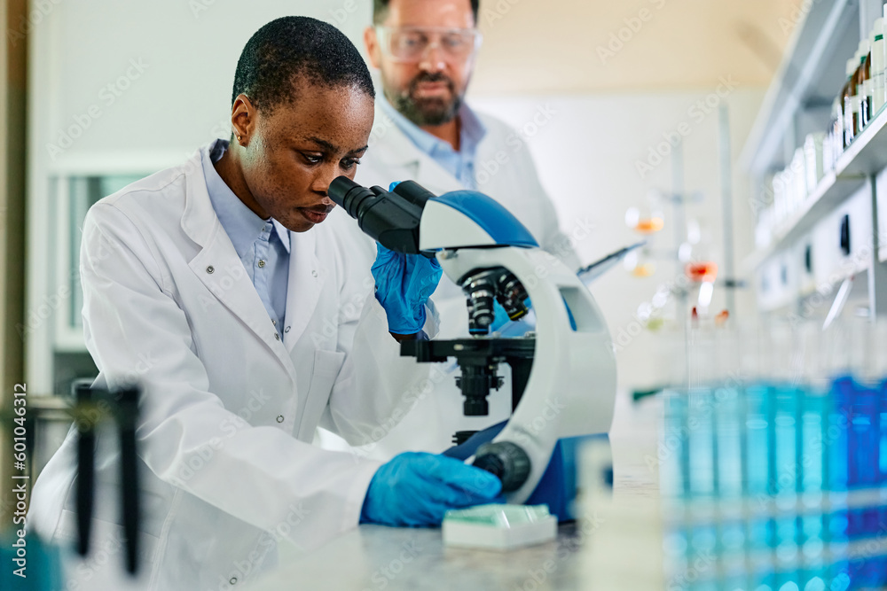 African American female scientist using microscope while working in medical lab. African American female scientist using microscope while working in medical lab.