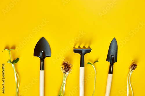 Flat lay gardening tools and greens on yellow background, Spring garden works concept, Copy space for text, top view