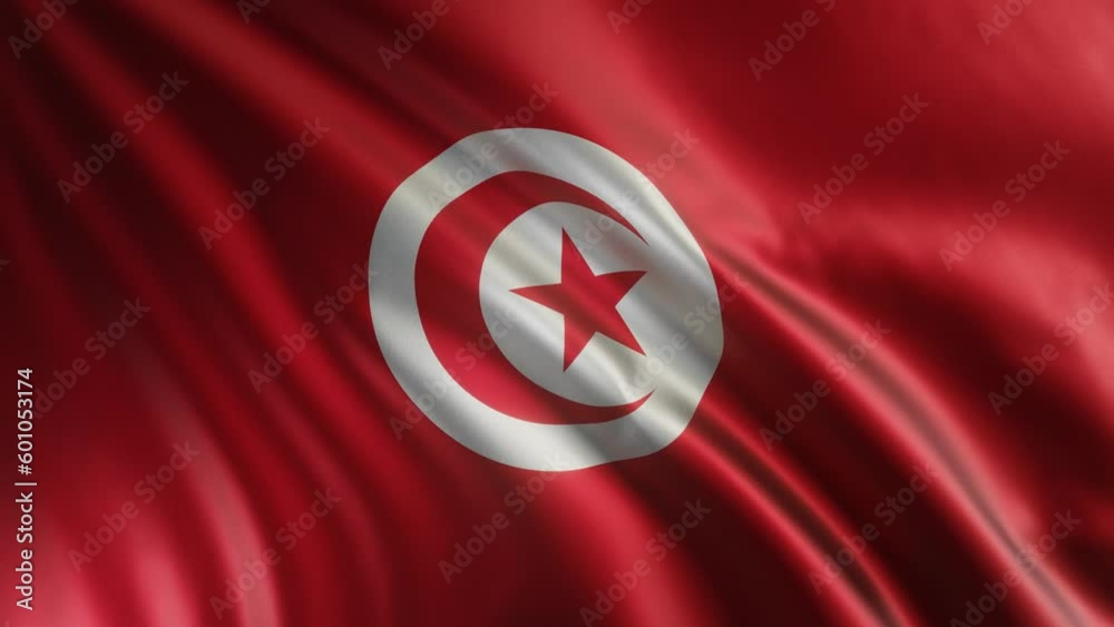 Tunisia flag waving in the wind. National flag of Tunisia. Sign of Tunisia seamless loop animation. 4K
