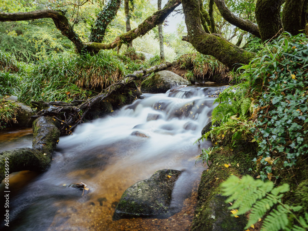 Obraz premium Small waterfall on the River Dart in Devon