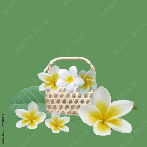 Illustration of frangipani flowers in a basket made of woven bamboo and rattan