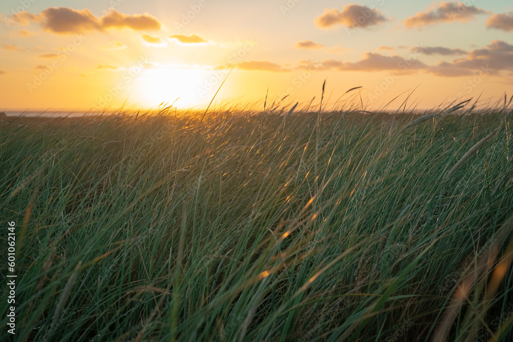 In den Dünen an der Nordsee mit der späten Abendsonne am Horizont In den Dünen an der Nordsee mit der späten Abendsonne am Horizont