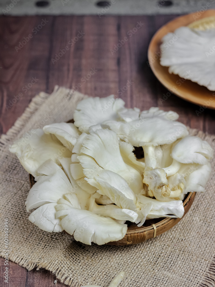 Jamur Tiram or Oyster mushrooms are with general characteristics of a white to creamy fruit body and a semicircular hood similar to an oyster shell﻿