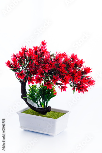 Artificial plastic flower blooming with red flowers in a pot isolated on a white.