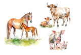 Farm, pets with cubs, a cow with a calf, a horse with a foal, a pig with a piglet on a white background.