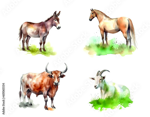 Farm, domestic animals, artiodactyls, cow, donkey, horse and goat on a white background.