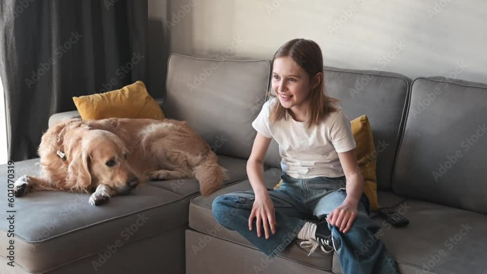 Vidéo Stock Preteen girl with golden retriever dog watching football