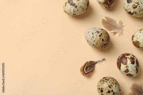Speckled quail eggs and bird feathers on beige background, flat lay. Space for text