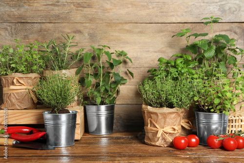 Different aromatic potted herbs, chili peppers and tomatoes on wooden table