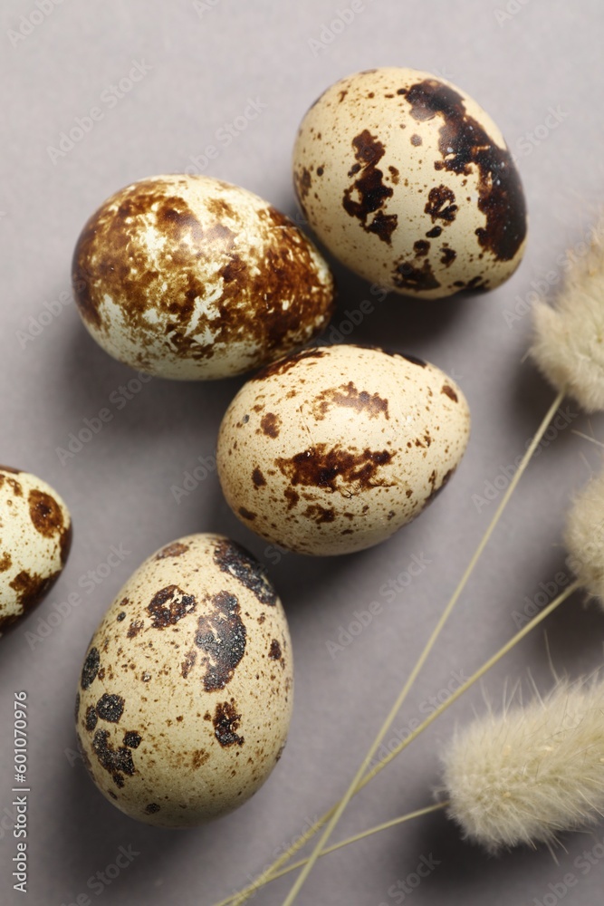 Speckled quail eggs and dry flowers on light grey background, above view Speckled quail eggs and dry flowers on light grey background, above view