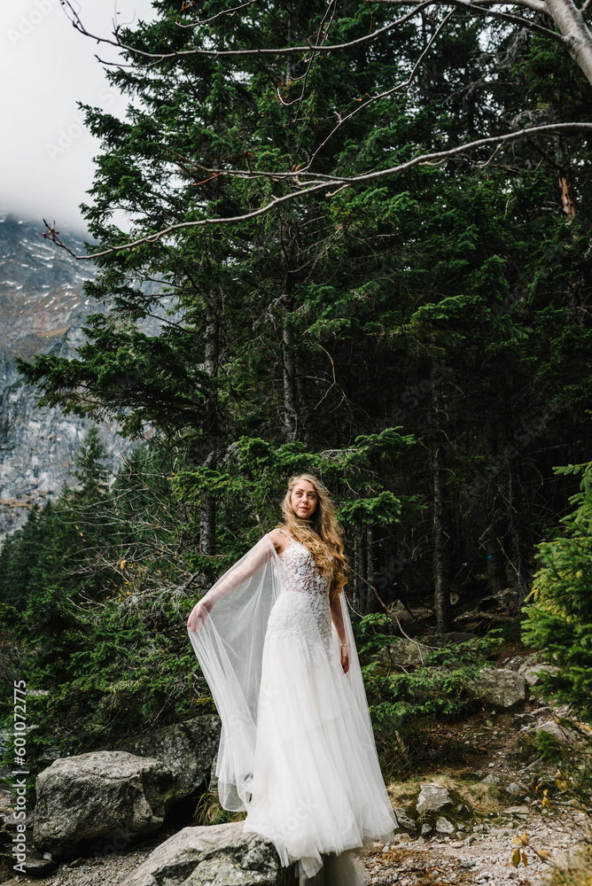 The bride on the stony shore near the lake in the mountains. Wedding on a backdrop of mountain landscape. Scenic mountain view.