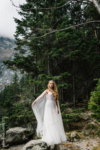 The bride on the stony shore near the lake in the mountains. Wedding on a backdrop of mountain landscape. Scenic mountain view.