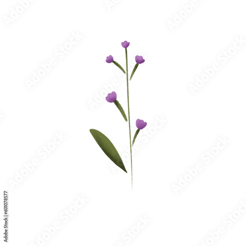 Purple flower © Sirinya