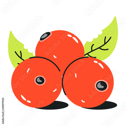 An attractive flat icon of cranberries