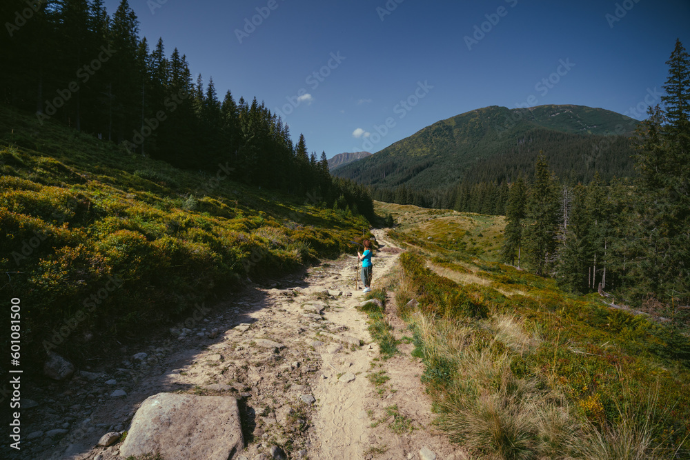 A woman in a hat with a stick, hiking to Mount Shpytsi, Ukrainian Carpathians. A path among the meadows, mountains and forest in the background.