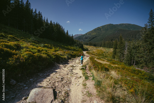A woman in a hat with a stick, hiking to Mount Shpytsi, Ukrainian Carpathians. A path among the meadows, mountains and forest in the background. photo