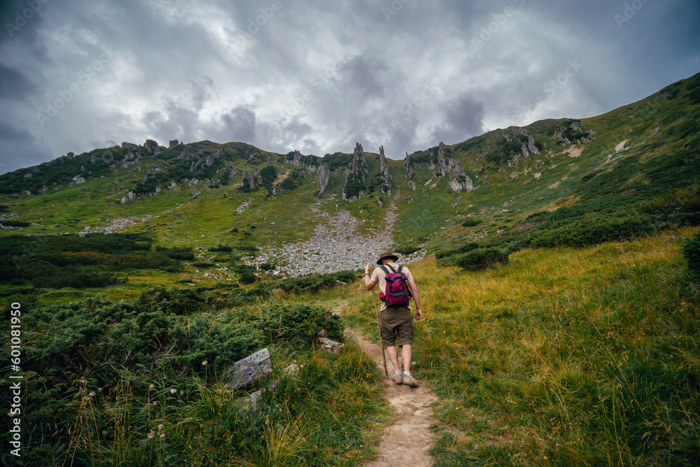 A back view of man hiker in a leather hat, with a backpack, on the trail leading to the top of Mount Spitsy, Carpathian Mountains, nature of Ukraine. Tourism and active lifestyle