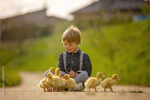 Beautiful preschool boy, playing with little ducks on the street in little village photo