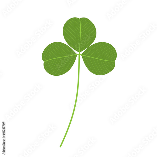 Clover leaf, an example of a compound leaf. Trifoliate. 