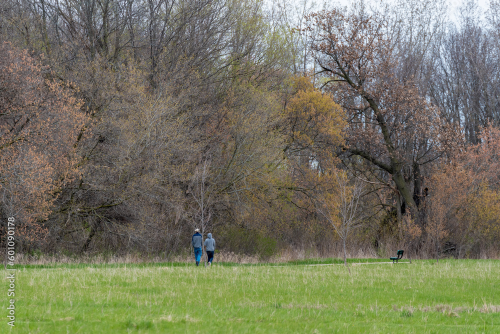 A Couple Walkng Along The Local Trail Through The Woods In Spring A Couple Walkng Along The Local Trail Through The Woods In Spring
