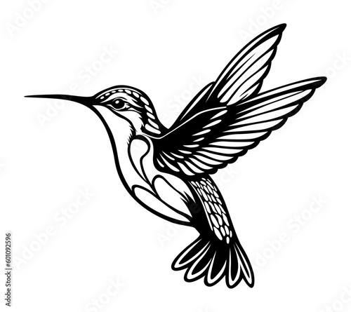 Hummingbird bird on white background.Elements for design.