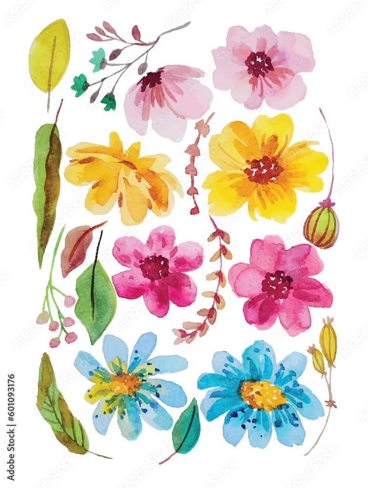 watercolor flower hand draw elements