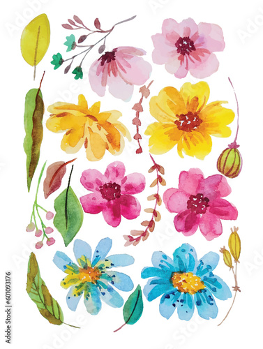 watercolor flower hand draw elements