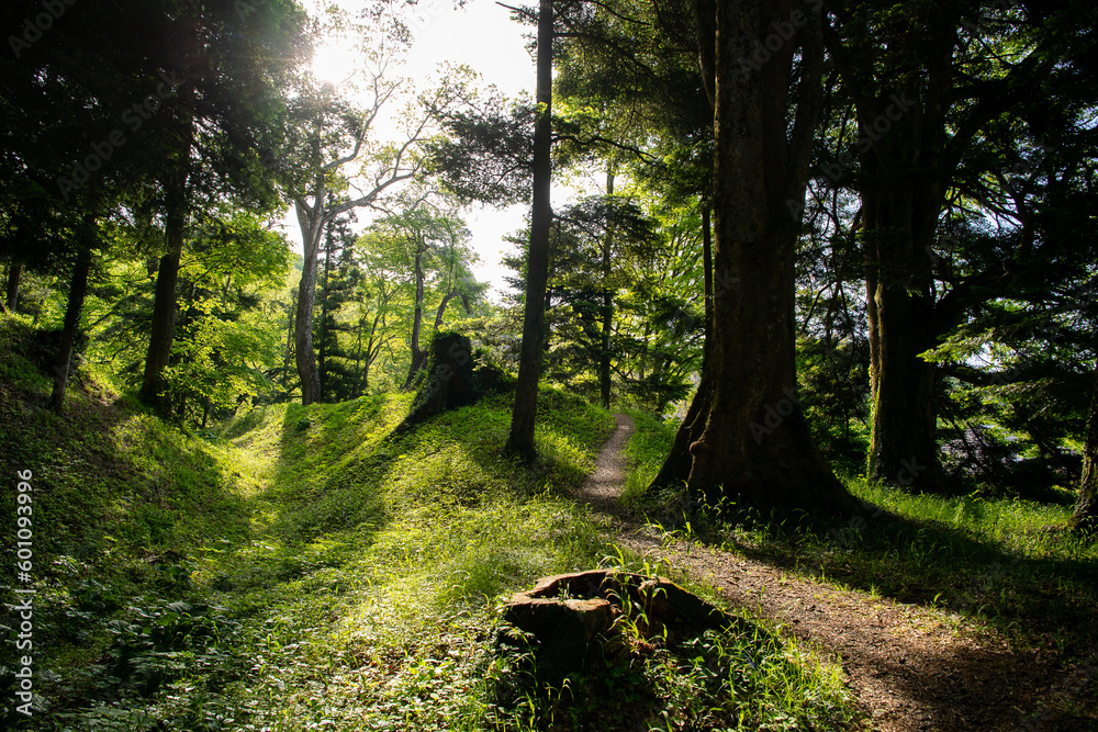 Obraz premium 白河関所跡の土塁、空堀