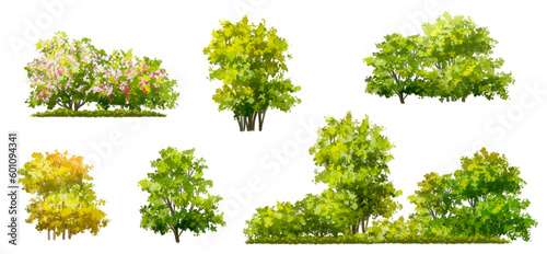 Vector of green grass or shrub isolated on white background tree elevation for landscape concept environment panorama scene eco design meadow for spring autumn 